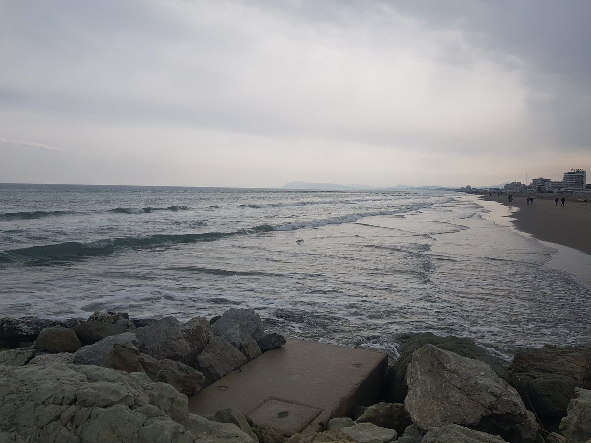 Nat_Ali_e's tweet image. J’aime de vos longs yeux la lumière verdâtre,
Douce beauté, mais tout aujourd’hui m’est amer,
Et rien, ni votre amour, ni le boudoir, ni l’âtre,
Ne me vaut le soleil rayonnant sur la mer.
Charles Baudelaire

📷 my

#VentagliDiParole
#PoesiePerLaSera