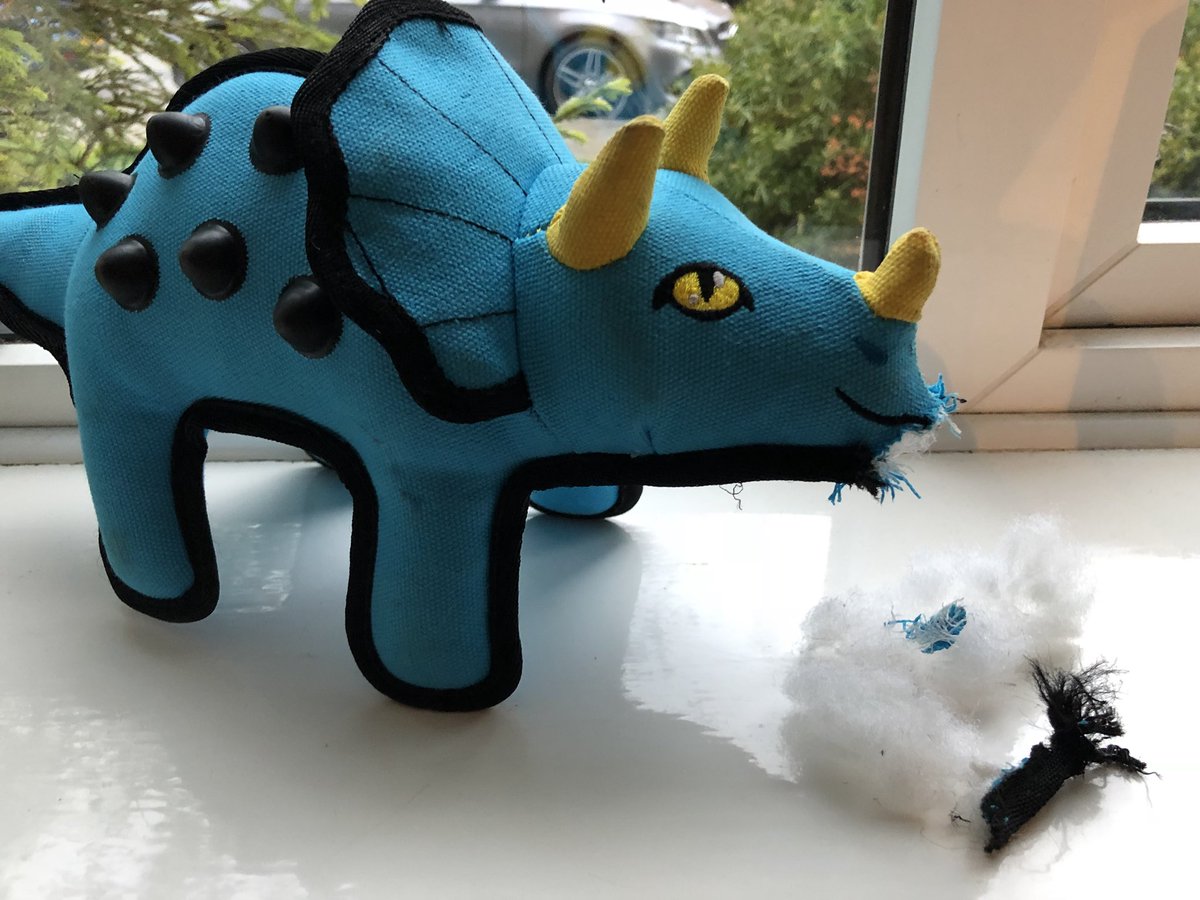 LouBailey13's tweet photo. Disappointed with @PetsatHome Ruffer and Tuffer toy as only had 10 minuets and already broken !!! https://t.co/4kzqFsKHOc