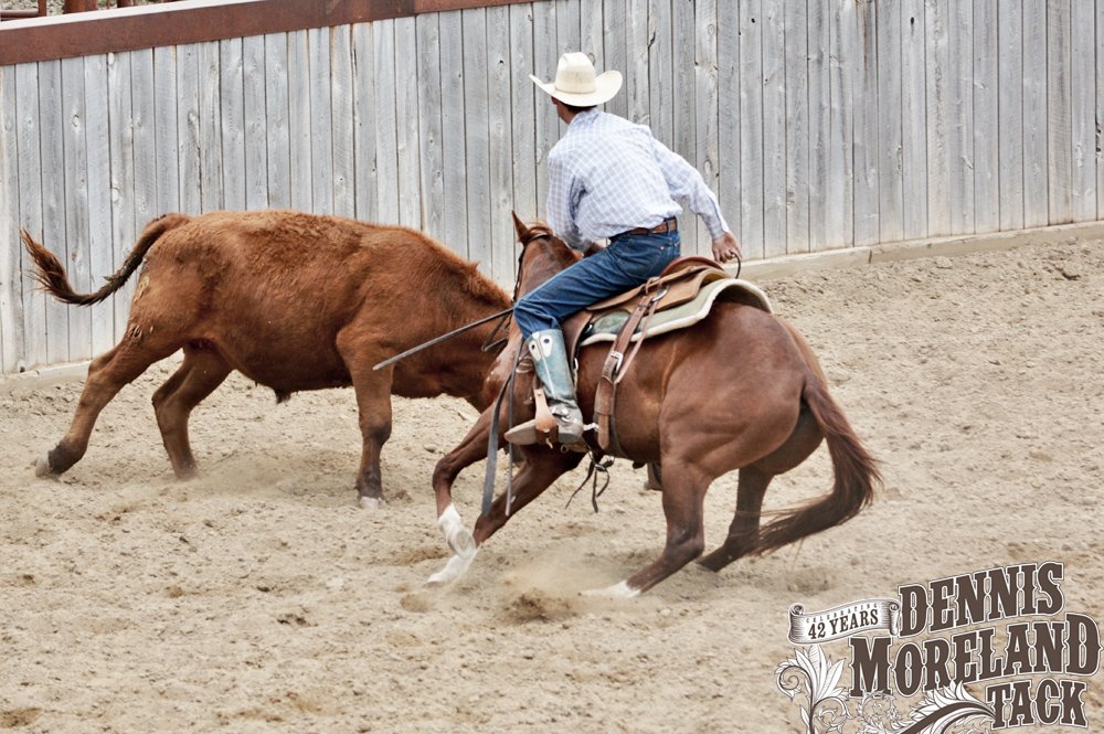 DmtackT's tweet photo. Have you seen trainers on snaffle bit colts holding their reins https://t.co/sV6wtI6A13 in several different ways in the training arena? Which technique is best and are they all legal in the show pen? Read more: https://t.co/GB9CVF2VDo
#tacktips #tacktalk #horsetraining https://t.co/mA5evfoK5T