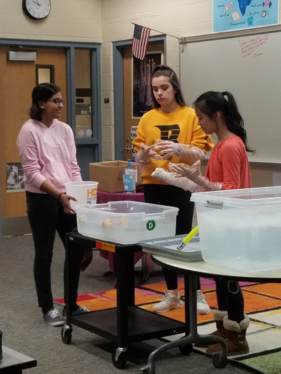 Mr_Yambor's tweet photo. More shots of the 8th. grade Bio Suit final competition.  All the teams showed they had worked through the engineering process by improving their solutions!!
#wilsonsouthern #wilsonsd https://t.co/5iPrzr9Mj0