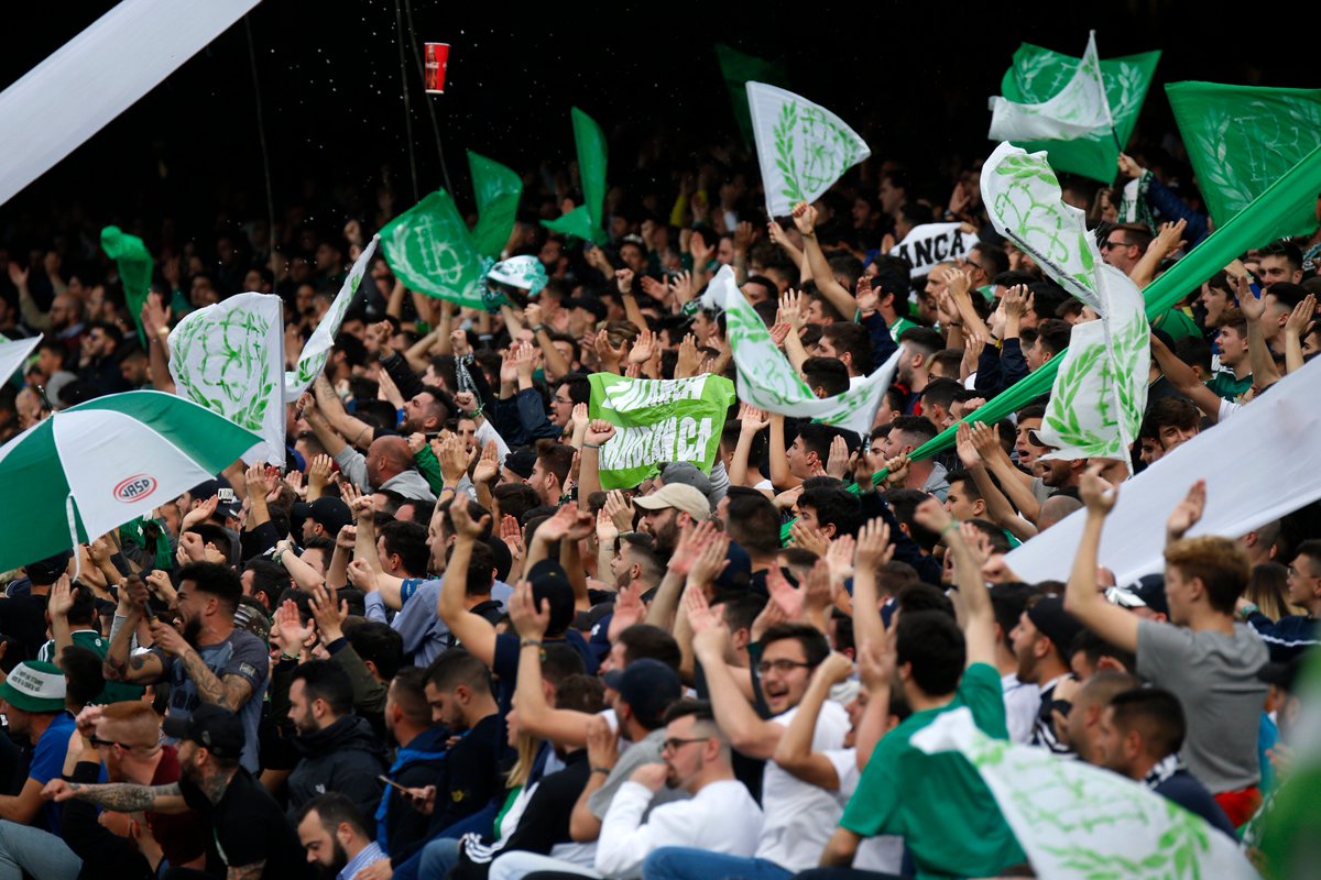 RealBetis's tweet photo. Y todo esto sin apagones, gatos negros, paraguas voladores o aspersores poseídos 🙈 

Tiene mérito, ¿eh? 😎✌

#DíaDeBetis #RealBetisEibar https://t.co/UREdtc5bOg