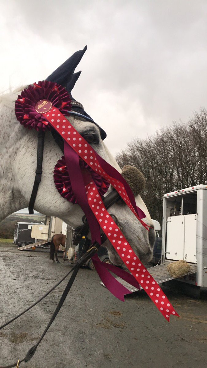 ksimpson01's tweet photo. Nice little trip to tall trees jumping today. Shroom was a total star and won both classes #supershroom #WinnerWinnerChickenDinner https://t.co/y1Wpimg2kZ