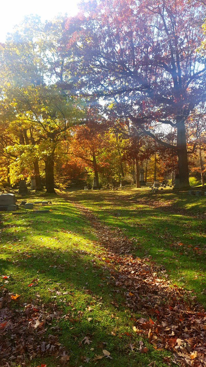 Second Thought for Today:
You MUST feel the joy of the unanswered prayer.
#FeelFreetoProsper #ArtisticStrategies #ArtistinService