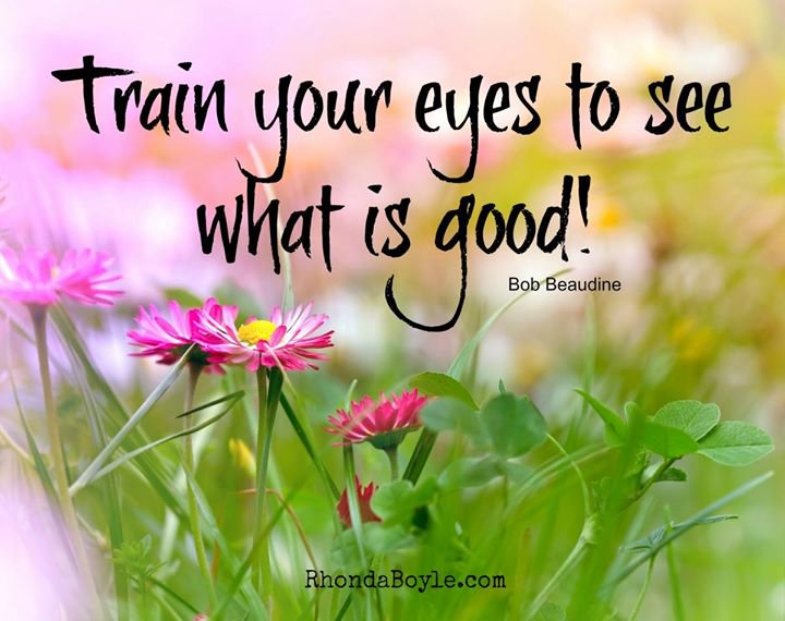 stoify's tweet photo. Train your eyes to see what is good! #positivity https://t.co/vQikGO7MSK