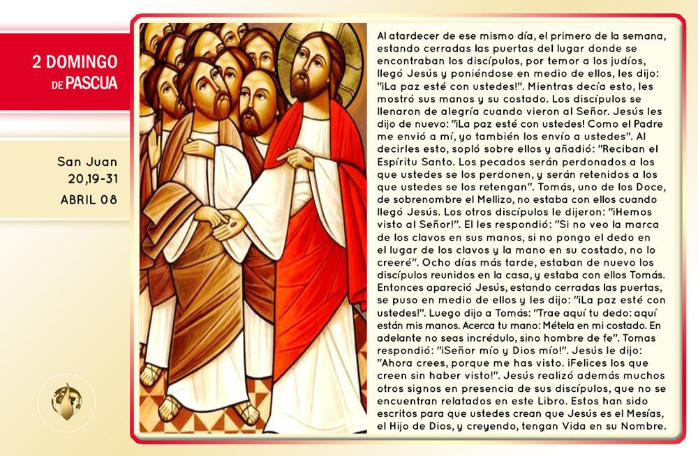 #EvangeliodelDía Segundo Domingo de Pascua
Jesús dijo a Tomás: Trae aquí tu dedo: aquí están mis manos. Acerca tu mano: Métela en mi costado. En adelante no seas incrédulo, sino hombre de fe. #Domingo