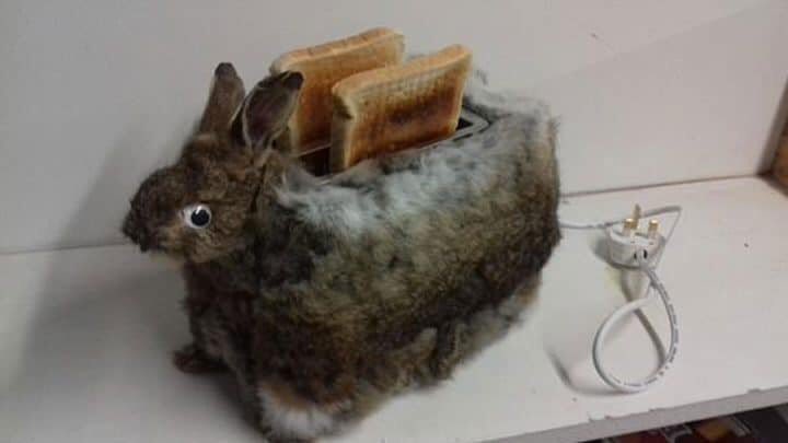 Mátame, camión! (El Tópic de la Taxidermia Chunga) DaNFvbrW4AE-C8q