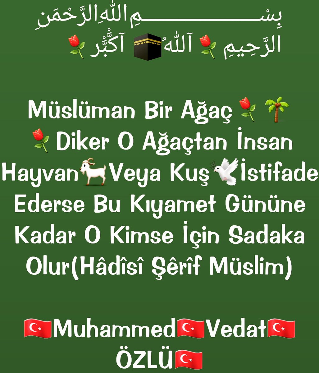Acizkullum's tweet photo. @eminecelik62 @GulnazYurtbakan @Pirense41190864 @TEKHEDEF2023AK @arvasfehmi @VahitKaragoez @emn_rl @AsiiyeMutlu @sabrigunes001 @d_cakaroglu @CigdemGulu34  https://t.co/LOACoh4ekZ