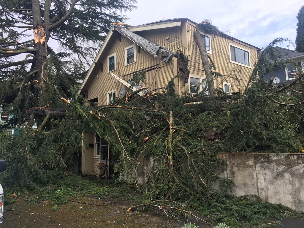 KATUNews's tweet photo. Wind gusts down tree at 26th & Stephens in Southeast Portland. What are you seeing out there? Share your photos with us at https://t.co/9zXbsAXIIH
Photos from @thenohatezone https://t.co/0fN8U2MVDj