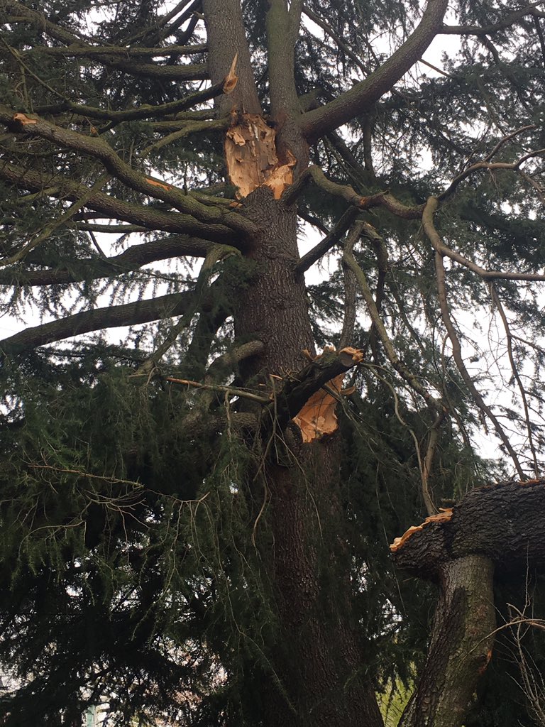 KATUNews's tweet photo. Wind gusts down tree at 26th & Stephens in Southeast Portland. What are you seeing out there? Share your photos with us at https://t.co/9zXbsAXIIH
Photos from @thenohatezone https://t.co/0fN8U2MVDj