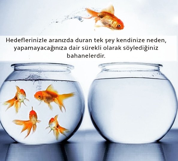 Hayallerinizin peşinden gidin..

İletişim : 0544 669 71 10

Sayfamızı beğenelim..

facebook.com/nemsolucan/
#nemsolucan #solucan #gübre #solucangübresi #eiseniafoetida #kırmızıkaliforniyasolucanı  #toprak #tarım #kırıkkale #organiktarım