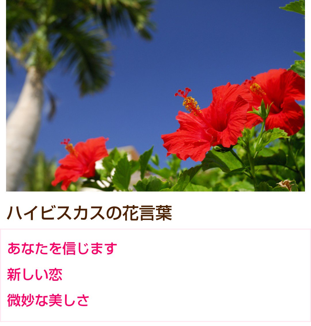 よるさん考察ミツココの話 Twitter