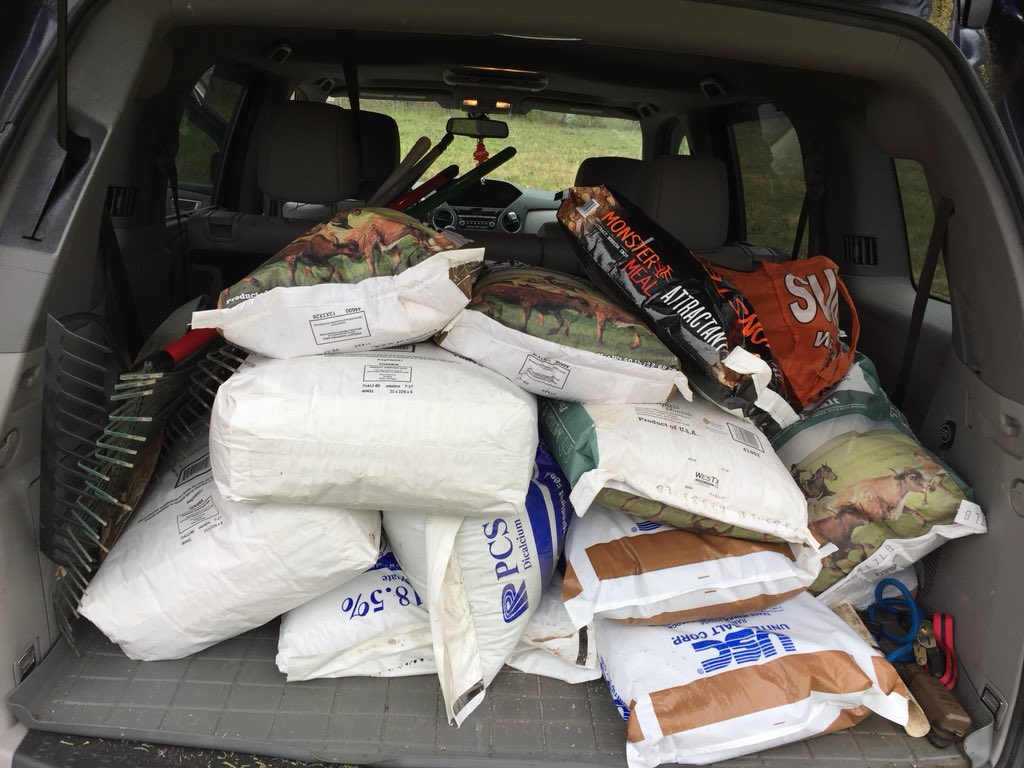 CrossbowKristy's tweet photo. So, I just toted 1/2 of all this to my #minerallick. It’s #refreshday &amp; I put in work for my #deer. #ChumEmUp #SheHunts #whitetaildeer #deerhunting #bowhunter #ThereIsNoOffseason #WhatGetsYouOutdoors https://t.co/Lx9xbSpb2p