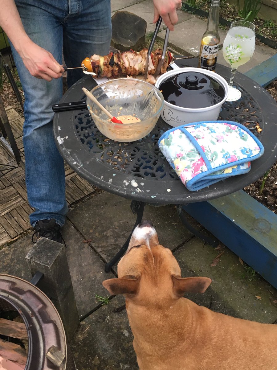 willow_woof's tweet photo. Very happy #StaffieSaturday as we had the first #BBQ of the year. The season has started! I love this time of year it smells soooo good. https://t.co/Q4agCwElc8