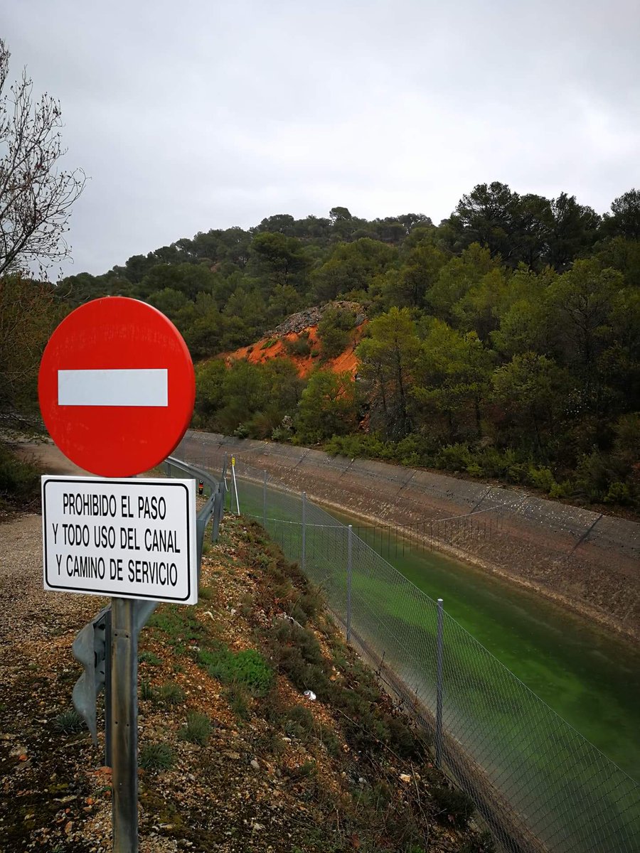 rioTajoVIVO's tweet photo. 🔴El trasvase sigue cerrado y ya sabemos los motivos.
Lo contamos el lunes.
De momento lleva agua gratis de la que cae de la lluvia y el embalse de Alarcón tiene un afluente más.
#NOalTrasvaseTajoSegura https://t.co/40JHhJg7me
