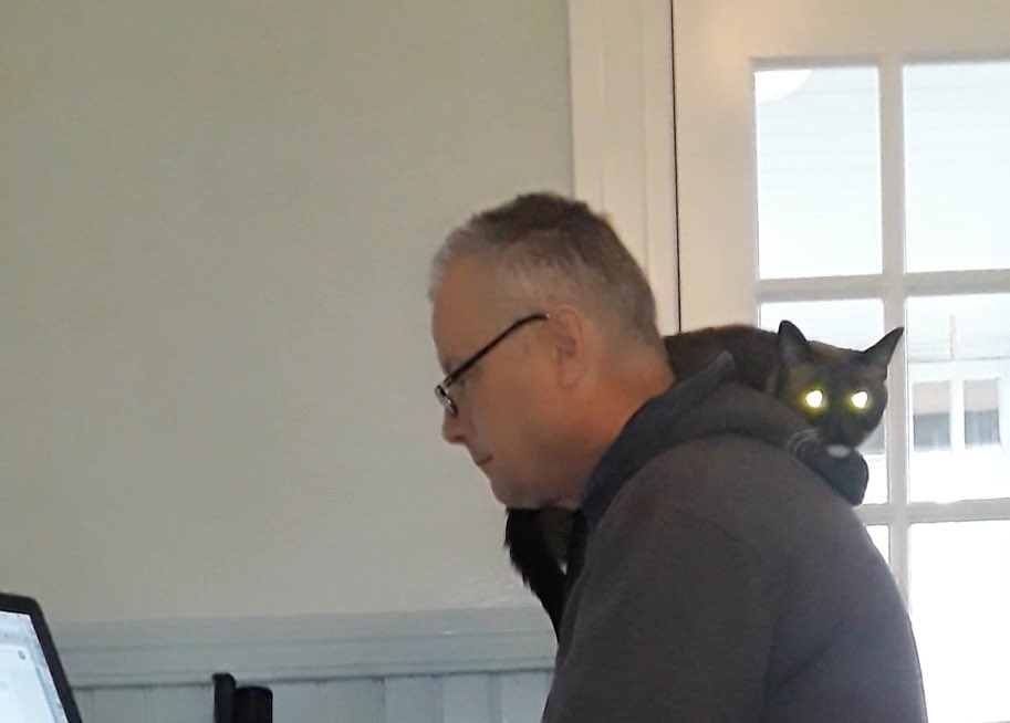 iAmMoshow - The Cat Rapper ™ on Twitter: 