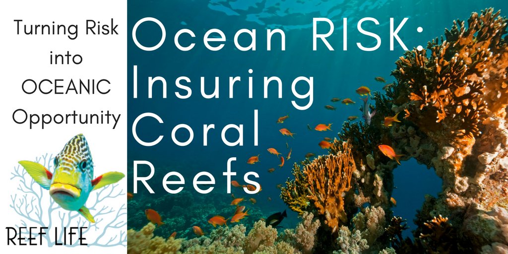 ReefLife911's tweet image. #OceanRisk and #Insuring #Coral #Reefs bring #OceanOptimism Every $1. spent SAVES $4. in Recovery after a #hurricane More @OceanRiskSummit #coastal property is saved by Healthy Reefs and Living Shorelines @ReefLife911  goo.gl/VSDPQk