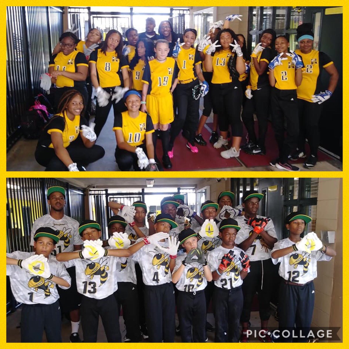 NorthwesternMi1's tweet photo. Our 2017-2018 Softball and Baseball Team!!  #YellowJacketPride #AcademicsAndSportsmanshipFirst #IssaTeam https://t.co/89oG8VO5I0