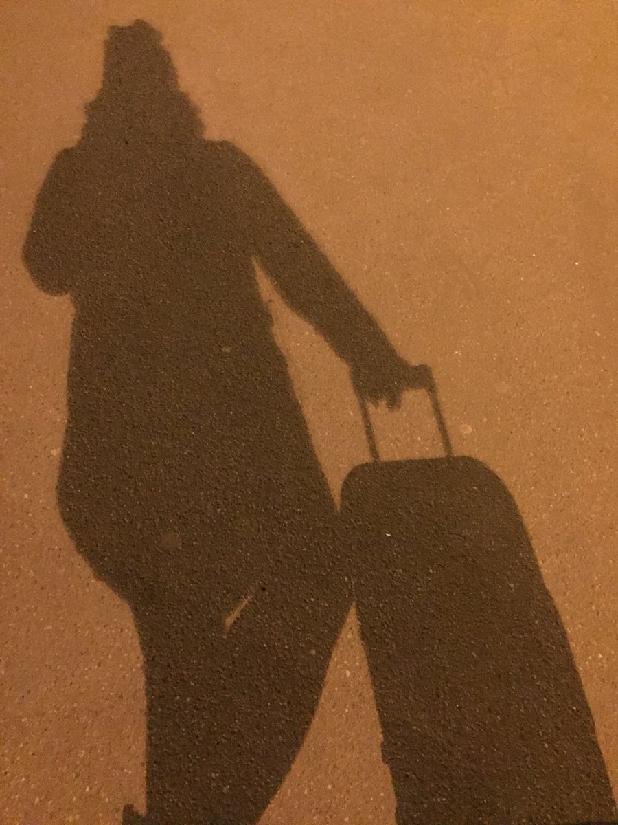 Saha_loz's tweet photo. Мой старый напарник со мной) 
Последний раз я так часто ездила на поезадах году в 2012) https://t.co/DqPUUyihkt