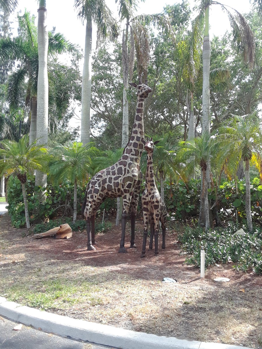 Need a new home pgs store closing were will we go