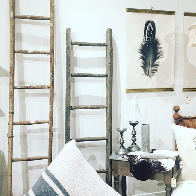 robindira's tweet photo. Ladders and feathers.....💛 #robindiraunsworth #robindira_unsworth #robindiraunsworthhome #ruhome #barlogastudios #featherart #wallart #ladder #fineartphotography #homedecor #homeaccessories #interiors #rustic #luxury #luxurylifestyle #californiastyle #winecountry #winecount… https://t.co/bvxHwSEvda