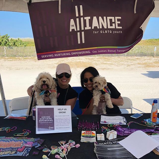 GLBTQAlliance's tweet photo. Happy #miamibeachgaypride ! We’re out here and...we have puppies! Come play! #lgbt #youth #pride #pupswithpride https://t.co/qO4fMcoQZM https://t.co/hn0u7SPJ3S