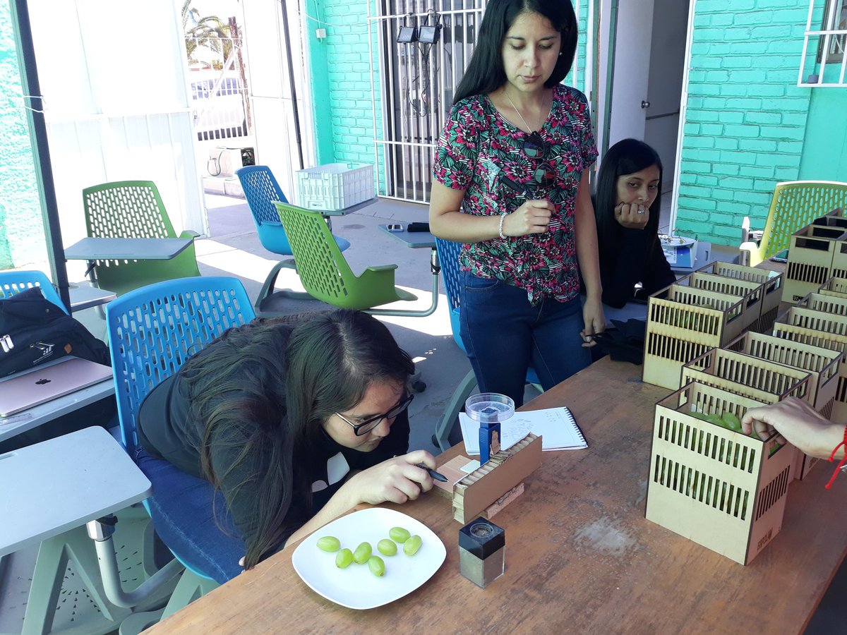 Espolam's tweet photo. Hoy en @TarapacaLabs realizando pruebas de ESPOLAM🍒 con diversidad de frutos. 
A la espera de resultados importantes 👏 #Iquique #emprendimiento #ESPOLAM https://t.co/URE53FRDqq