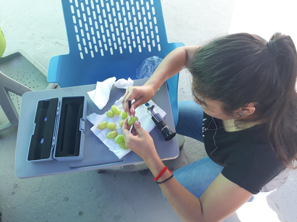 Espolam's tweet photo. Hoy en @TarapacaLabs realizando pruebas de ESPOLAM🍒 con diversidad de frutos. 
A la espera de resultados importantes 👏 #Iquique #emprendimiento #ESPOLAM https://t.co/URE53FRDqq