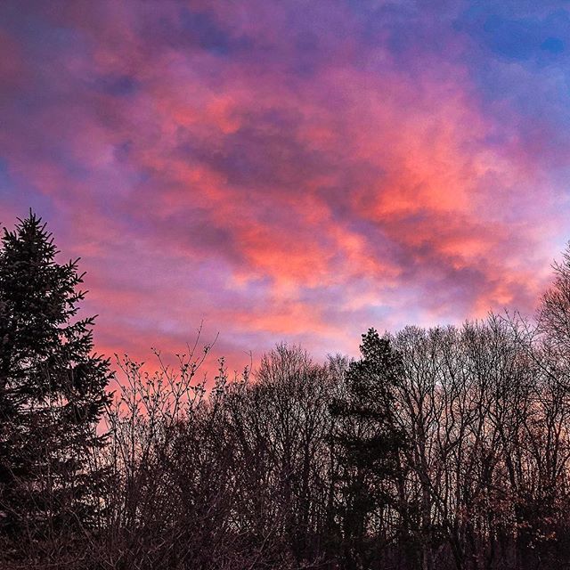 OakGov's tweet photo. The #SunRise in #OaklandCounty is always worth waking up early to. This shot of the pink and purple sky was in #Highland by @smimaging.
.
.
.
.
.
#HighlandMI #PureMittigan #PureMichigan #SpringInTheMitten #MichiganLife #MichiganLove #MittenLife #MittenLo… https://t.co/oDN5haj4rL https://t.co/otRhIzgrqM