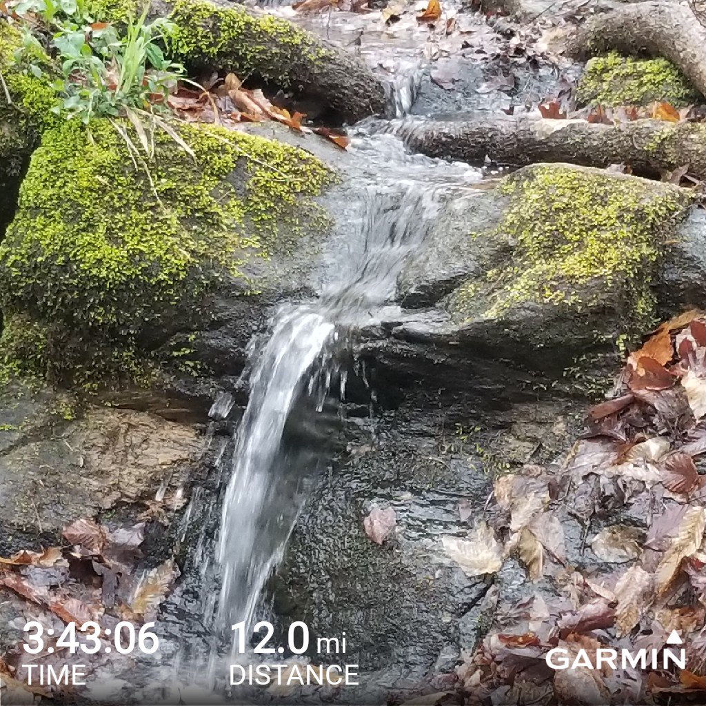 #teamchainbreakers #trailblazechallenge #training #makeawish #garmin #beatyesterday