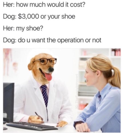 OTAGuide's tweet photo. My dog would perform neurosurgery for the price of 1 stinky shoe 🐶 😆 #meme #medical #healthcare https://t.co/V3BfIk9pwc
