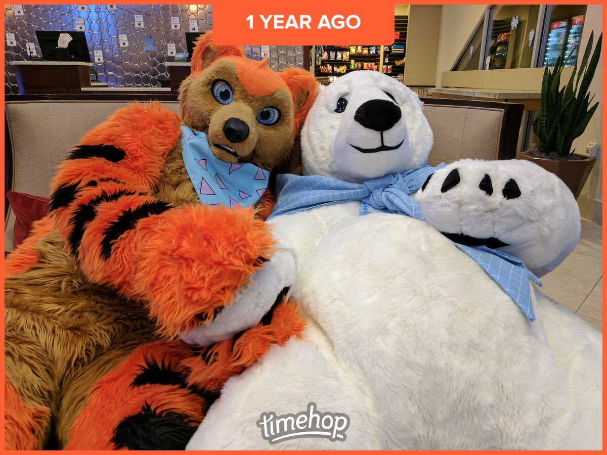 ItsBegger's tweet photo. @PolarBurrUS #MCFC2017 https://t.co/g2zzX9HW3Q