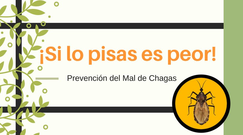 Comunitario_ecs's tweet photo. Proyecto - ¡Si lo pisas es peor! Prevención del Mal de Chagas
Estudiante Daniel Jiménez

#ecsucvalservicio @sanasanaucv @noticiasUCV @DirCulturaUCV #UCV https://t.co/vQHr29TFen