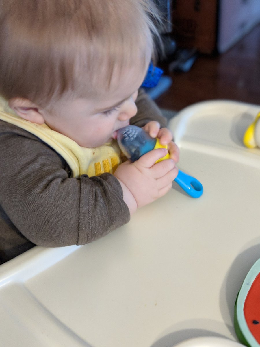 ASherman313's tweet photo. Loving the @BoonInc teether with blueberries. His poor teethies....#teethingbaby #teethingistheworst https://t.co/0pHngB7SUE