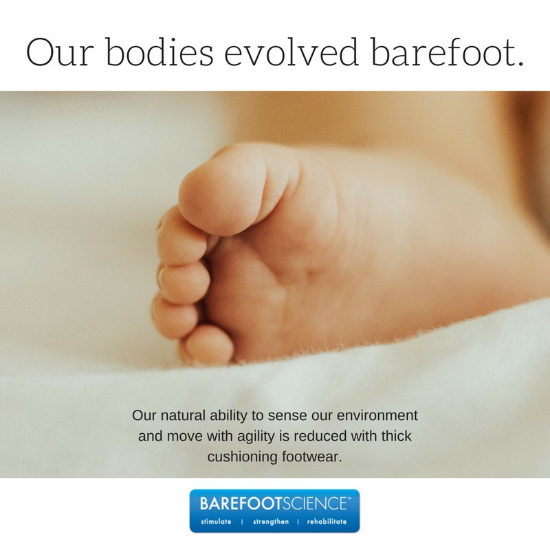 barefootsci's tweet photo. Our bodies evolved barefoot, so heavy shoes with thick cushioning could be working against you. #painfree #plantarfasciitis #barefootscience https://t.co/w4iqRV3AWv