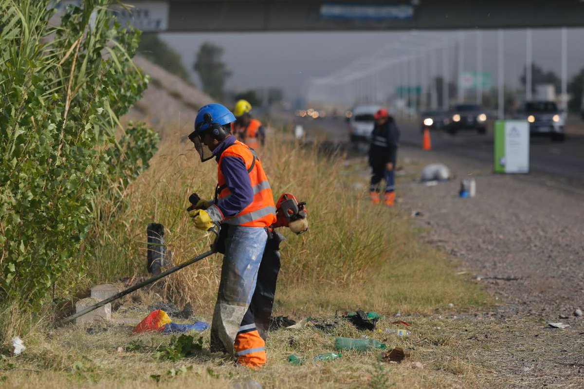 MaipuMunicipio's tweet image. #Hoy se realizó una limpieza en los laterales y cantero central de Acceso Este RN7

Hoy comenzamos en González #Coquimbito y en próximos sábados llegaremos hasta Lamadrid #SanRoque

🤗 Ponemos en valor los ingresos a Maipú 

¡Vení a vivir Maipú!