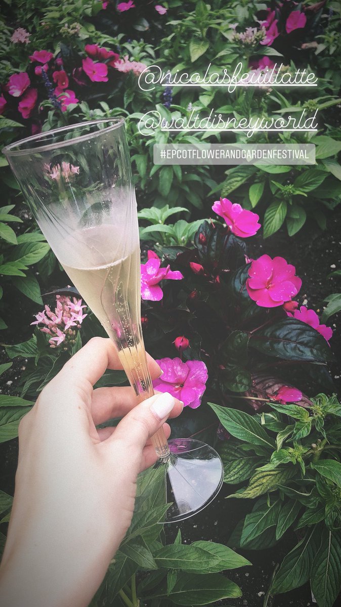 SporkOrlando's tweet photo. Champagne @WaltDisneyWorld #epcotflowerandgarden 🌺🍾 https://t.co/Zt7jfZr74R