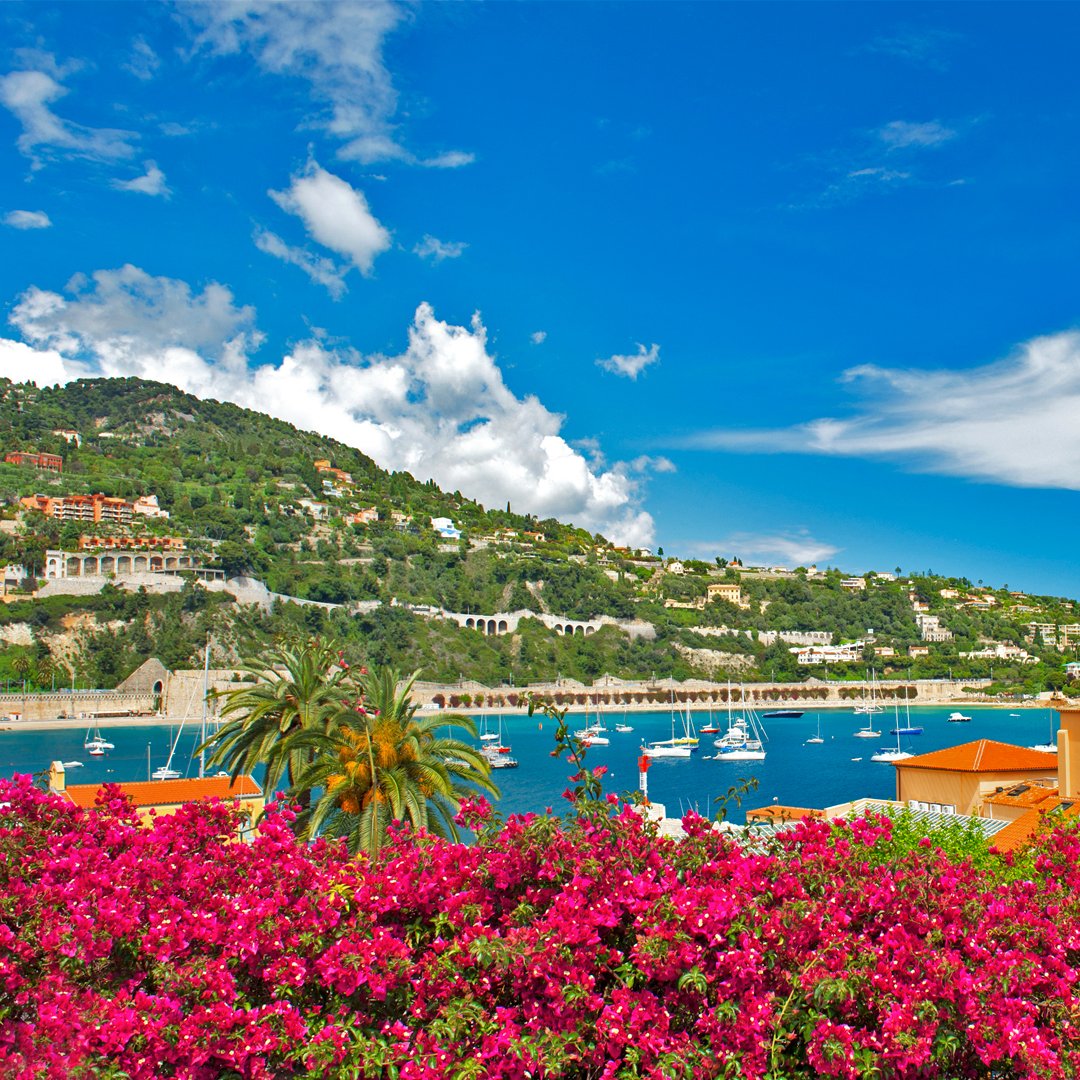 ViajarBaratoBR's tweet photo. Riviera Francesa, França

#viajar #viajarbarato #ferias #pacoteviagem #paraiso #wanderlust #travelphotography #travelpostdaily #cowanderlust #amazingpictures #travelphotooftheday #travelpost #globelusters #worldcapture #wonderfulplaces https://t.co/Em2KiOwrBx
