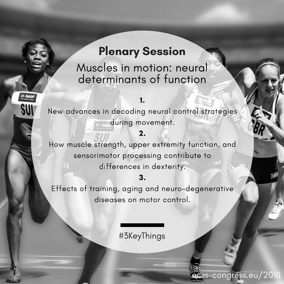 ECSSCongress's tweet photo. Plenary on Wednesday 4 July at #ECSS2018 focuses on Muscles in Motion: Neural Determinants of Function. Here #3KeyThings and an introduction to the session: https://t.co/2y9X1MUevY Hope to see you there! #sportscience #WeAreSportScience #muscle #function https://t.co/9AynFrsk4A