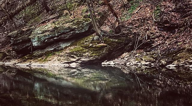 #doghikes #asseenwelderlymutts #Wiss #hikepa #outdoorsphilly ift.tt/2qcoB7K