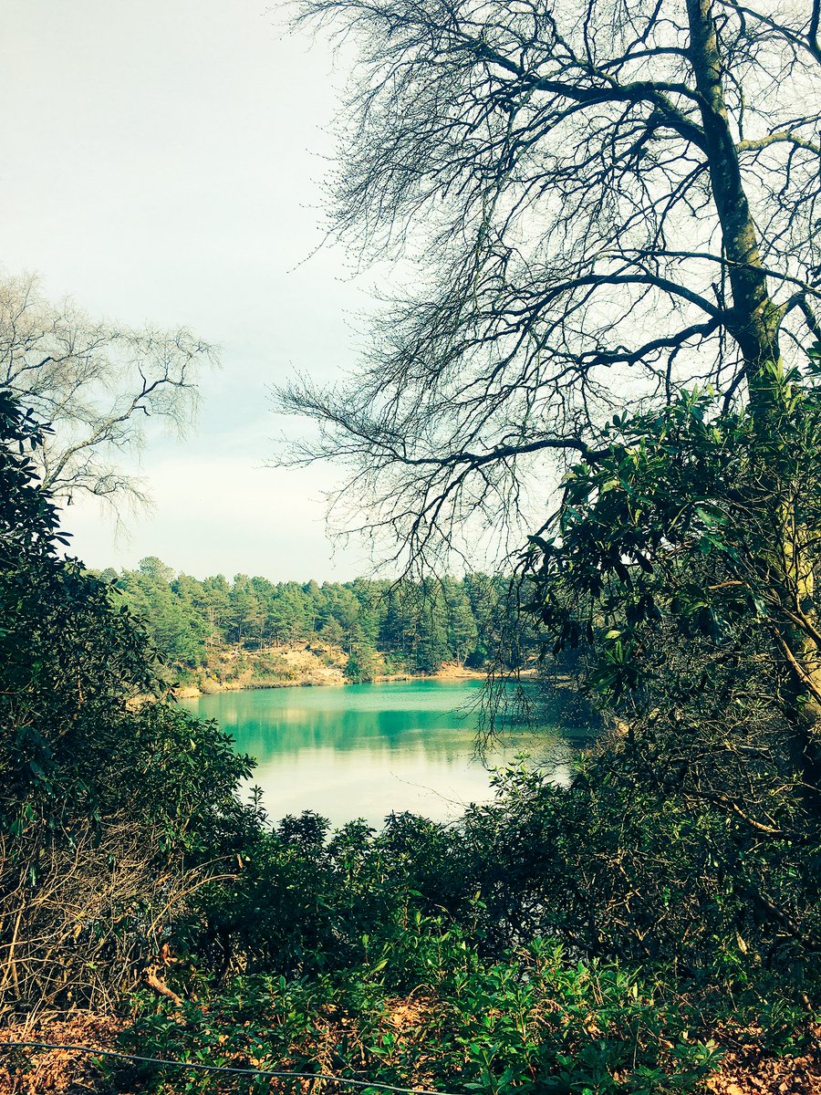 n9lclifford's tweet photo. Beautiful walks at bluepool today with the fam. @TheVampsJames @James_AB10 @OhSoAdam @KirstieBrittain @bentleythepig . https://t.co/BXKImCKqgC