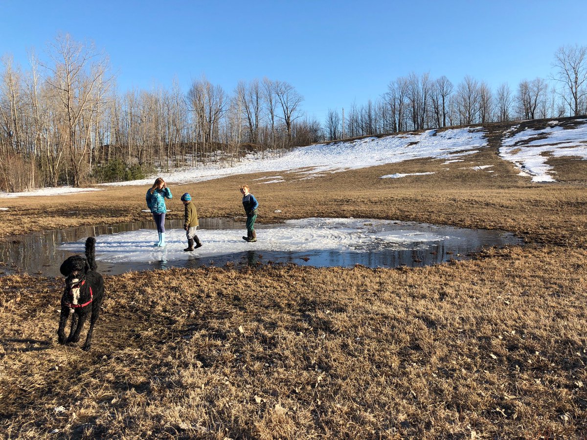 EmilieTaman's tweet photo. The fun that can be had by three kids and their pup on an island of ice knows no bounds. #imagination #ottcity #greenspace #conroypit https://t.co/Im8tCs5H1i