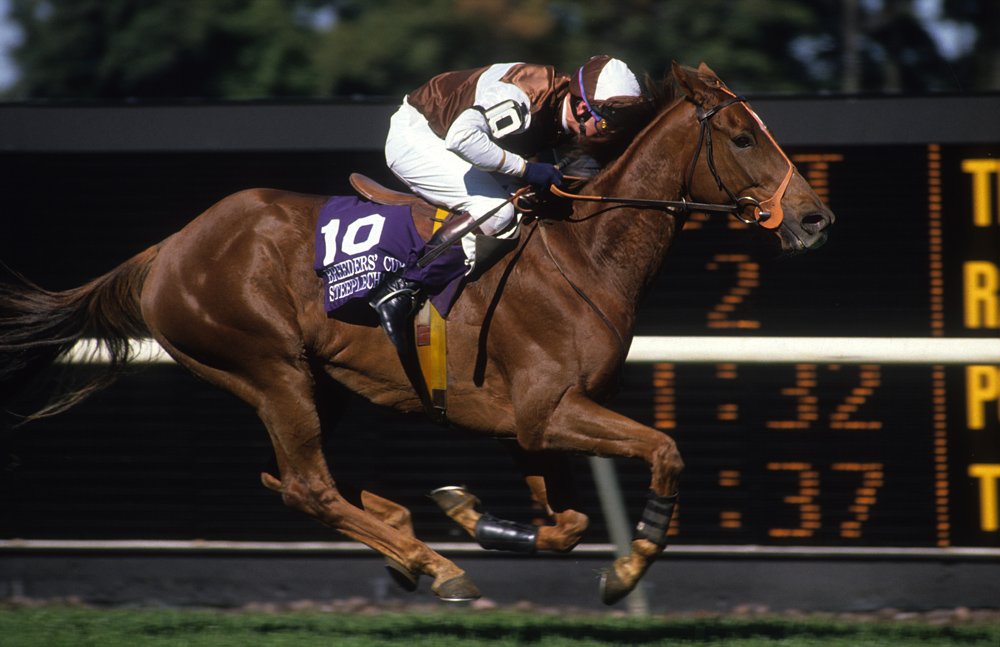 AnaglogsDaughtr's tweet photo. Bryony Frost aims to follow in her father's footsteps in Grand National

Pics: Jimmy @FrostRacingClub winning the National on Little Polvier and another favourite of his he rode was Champion Hurdle winner Morley Street, seen here winning the @BreedersCup 
https://t.co/l1MC1PiXf5 https://t.co/pfsvKuufCY