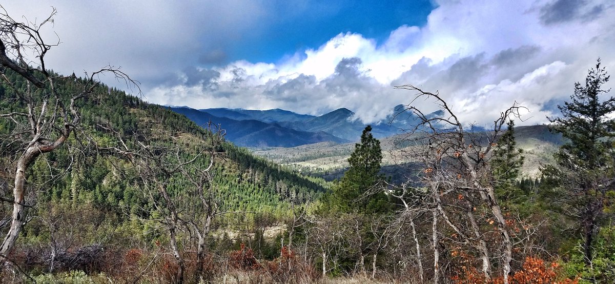 PacificBrewDude's tweet photo. A stunning day #hiking in #SouthernOregon - now it's time for a lovely #Oregonbeer https://t.co/fZc20rBAlt
