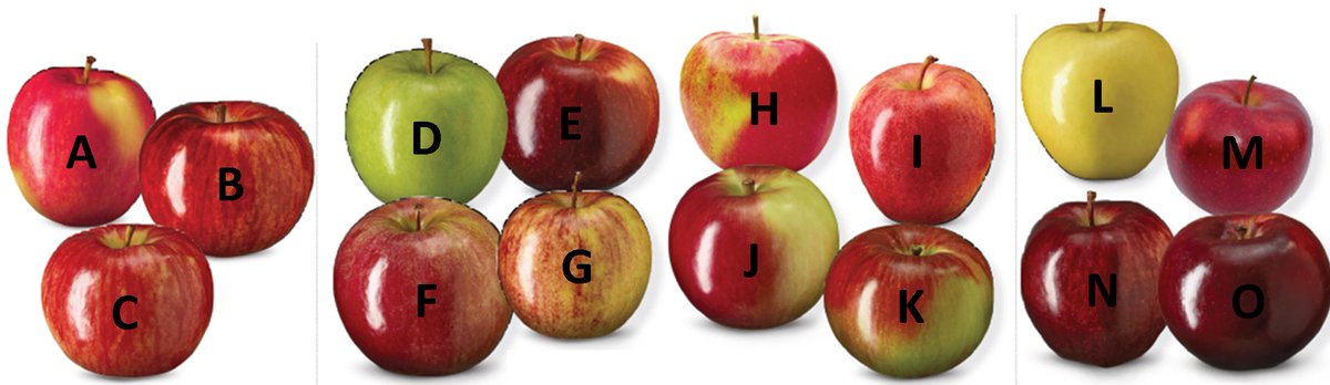 There are over 15 varieties of apples grown in Ontario. How many of the ones pictured can you name without looking them up? #ONappleAday #nopeeking #apples #appleindustry #ontag #agriculture #locallygrown #localfood #DYK