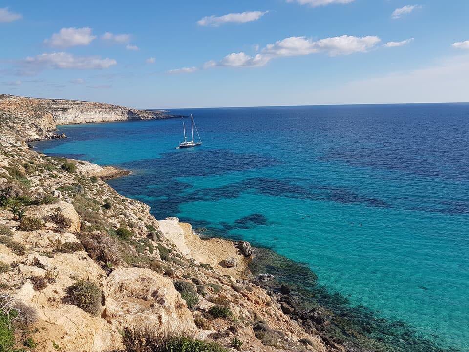 isolanoo's tweet photo. Semplicemente Lampedusa.
•
•
•
#sicilia #siciliabedda #trinacria #isolano https://t.co/LuvnlKqCav