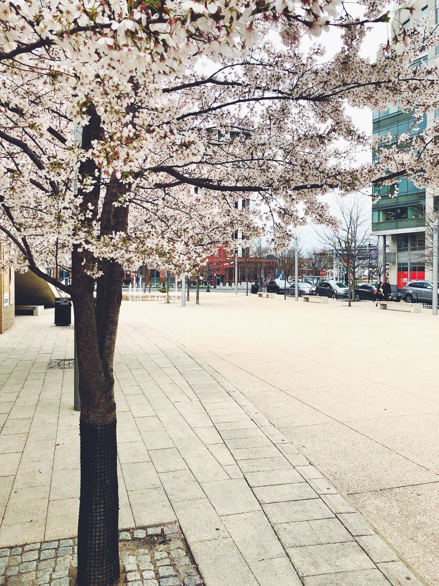 SnapWashington's tweet photo. Nice walk around the #NavyYard https://t.co/9lB3fwvbnI