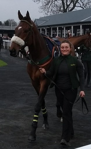 Stuart_Carter's tweet photo. A small selection of pictures taken today @UttoxeterRaces of three horses from trainer @PKirbyRacing - #Hangard #TransientBay #Aniknam https://t.co/ANz50WzbS2