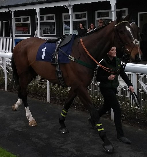 Stuart_Carter's tweet photo. A small selection of pictures taken today @UttoxeterRaces of three horses from trainer @PKirbyRacing - #Hangard #TransientBay #Aniknam https://t.co/ANz50WzbS2
