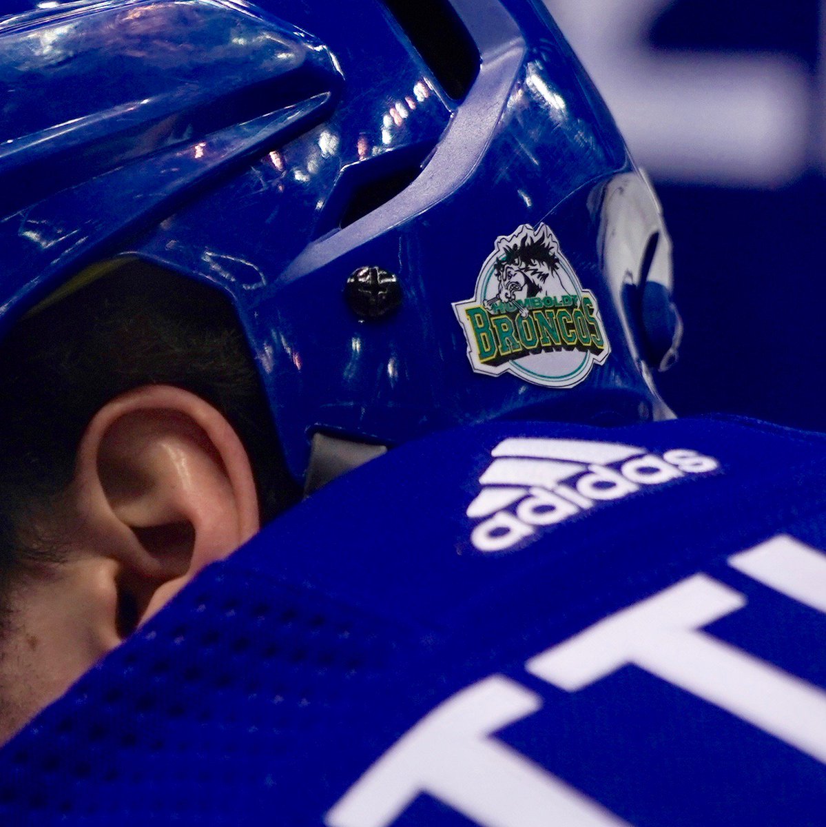 Toronto Maple Leafs tweet media