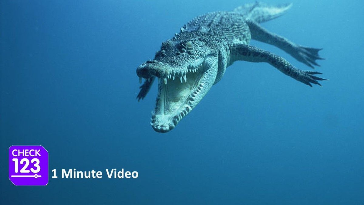 Check123 NATURE tweet media